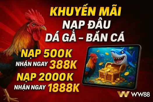 khuyến mãi nạp đầu bắn cá -đá gà tại ww88.